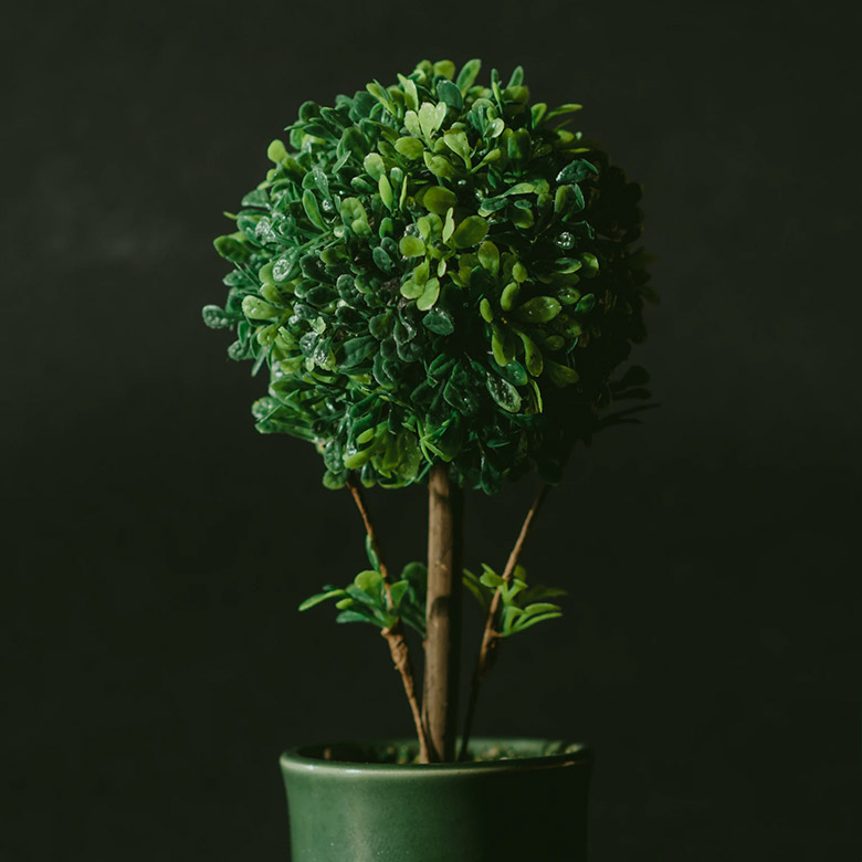 flower2 products pic10